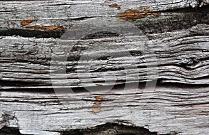 Close up view at old weathered wooden plank backgrounds