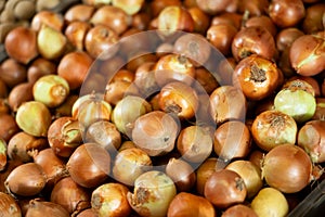 Close-up view of onions placed in box in market