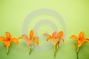 Close-up view of orange lilies with bright green background