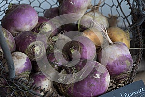 Close up view of organic white and purple turnips