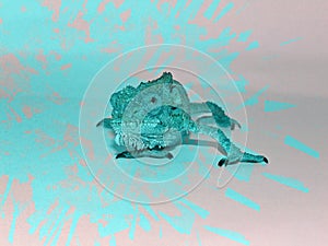 Turquoise photo shopped dwarf chameleon