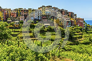 A close-up view of picturesque Cinque Terre village of Corniglia, Italy