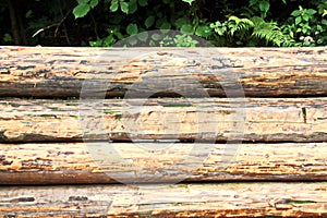 A close-up view of pine logs stacked horizontally and the structure of a tree cut with concentric rings.