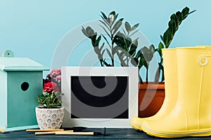 close up view of plants in flowerpots, rubber boots, birdhouse, gardening equipment and empty blackboard on wooden tabletop on blu