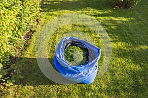 Close-up view of plastic bag of mowed grass standing on green autumn lawn.