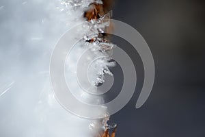 Close-up view of portions of Snow Crystals