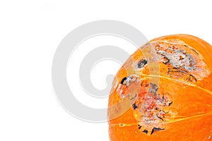 Close-up view of pumpkin with mildew on white background