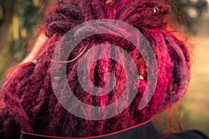 Close-up view of purple hair styled rasta