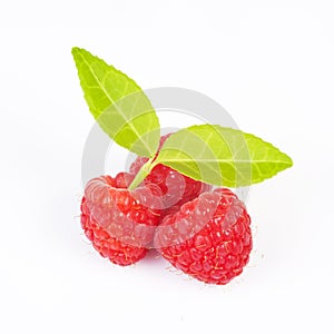 Close up view of raspberry on a white backgroun