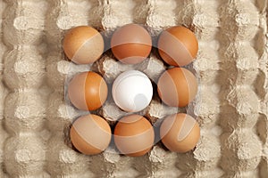 Close-up view of raw chicken eggs in a box, brown egg on green background.