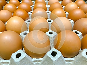 Close-up view of raw chicken eggs in egg box, Eggs from chicken farm in the package