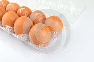 Close-up view of raw chicken eggs in egg box on white background.