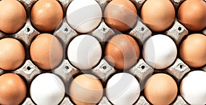 Close-up view of raw chicken eggs in egg box on white wooden background