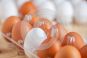Close-up view of raw chicken eggs in egg box on wooden background