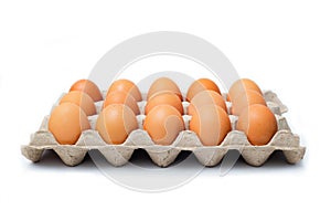 Close-up view of raw chicken eggs on white background.