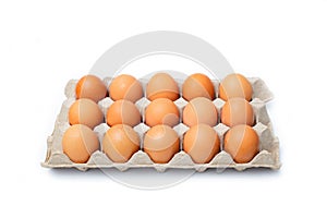 Close-up view of raw chicken eggs on white background.
