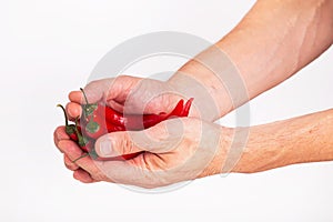 Close-up view of red chili pepper in the hands of a male cook, selective focus