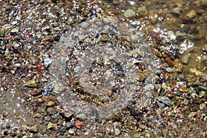 Close up view on a reflective water surface with waves and ripples in high resolution