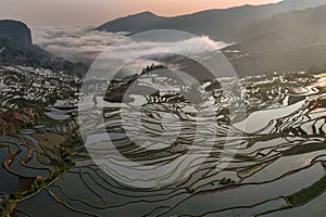 Close up view of rice terraces at sunrise in Yunnan - China, Unesco World Heritage Site