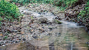 Close up view of river in the forest