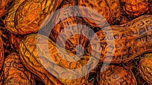 Peanuts in Shell Raw Groundnuts.