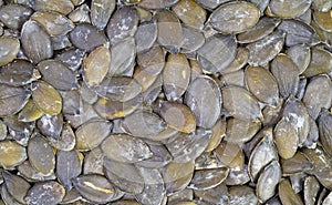 Close-up view of roasted pumpkin seeds