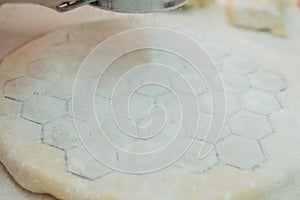 Close-up view of the rolled out dough for homemade potstickers