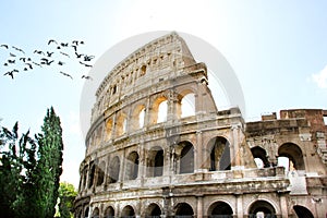 Close up view of Rome Colosseum in Rome , Italy