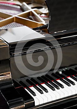 Royal grand piano keys