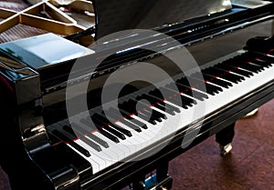 Royal grand piano keys