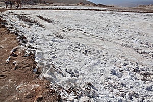 Close-Up View of Salt Flat in Chile`s Atacama Desert