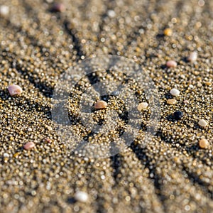 Close-up view of a sandy surface,