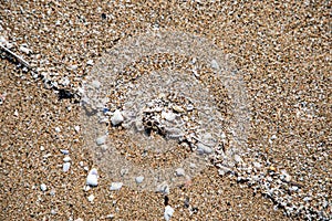 Close up view of shells in the sand