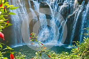 Close-up View of Shifen Waterfall with Luscious Plants as Background