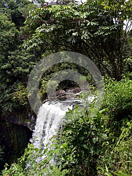 A close up view showing the top of Zillie Waterfalls in Millaa Millaa, Queensland