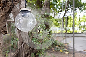 Close up view of single hanging spherical light bulb decor on tree in outdoor party
