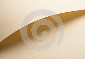 A close-up view of a single