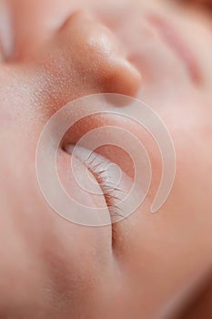 Close up view of sleeping baby eye and eyelashes