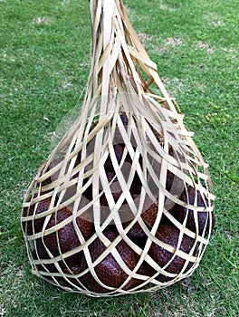 Close up view of Snake fruit (Salak) in a traditional bamboo