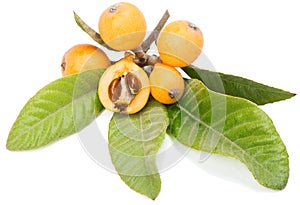 Close up view of some loquat fruits