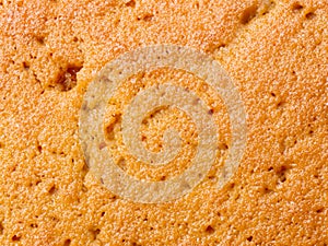 view on sponge cake texture