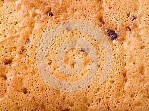 view on sponge cake texture