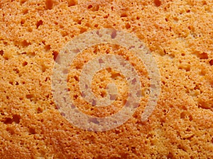 view on sponge cake texture