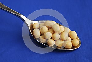 Close up view of a spoonful of soy beans