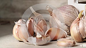 Close up view of sprouted dry garlic, healthy food ingredient