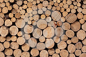 Close up view of stack of cut wood logs for background use