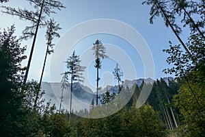 A close up view on steep, high, and stony mountain peaks in Grimming region, Austria. There are few trees disturbing the view