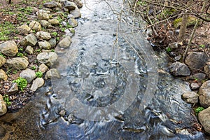 Close-up view of a stream flowing in the park on a cloudy spring day.