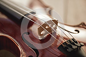 Close up view of strings of beautiful brown violin lying on wooden background. Musical instruments.