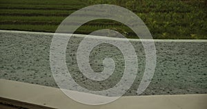 Close up view of a strong rainfall falling in the private pool with rice fields in the background. Raindrops splashing